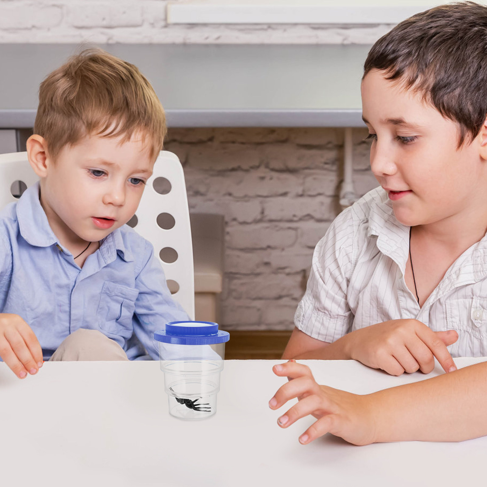 Science Kit - Üç Bölmeli Böcek Gözlem Kutusu, Ayarlanabilir