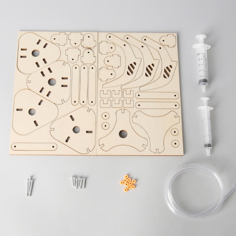 Kendin Yap (DIY) Mekanik Pisto - Science Project Kit incelemesi ve fiyatı